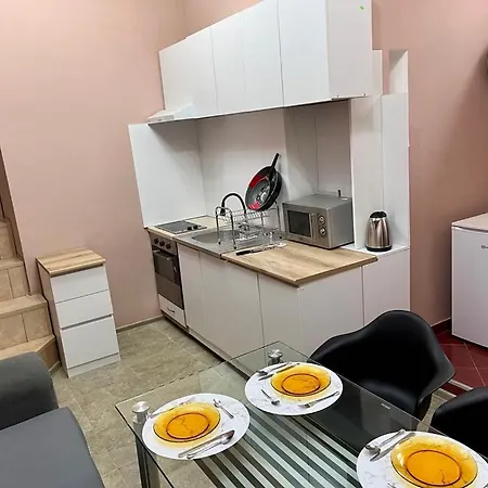 за гости николови ווידין